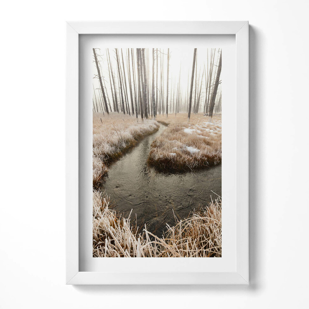 Obraz s rámem elegantní Řeka v lese v zimě