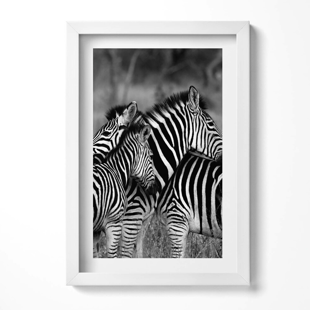 Obraz s rámem elegantní Objímání zeber