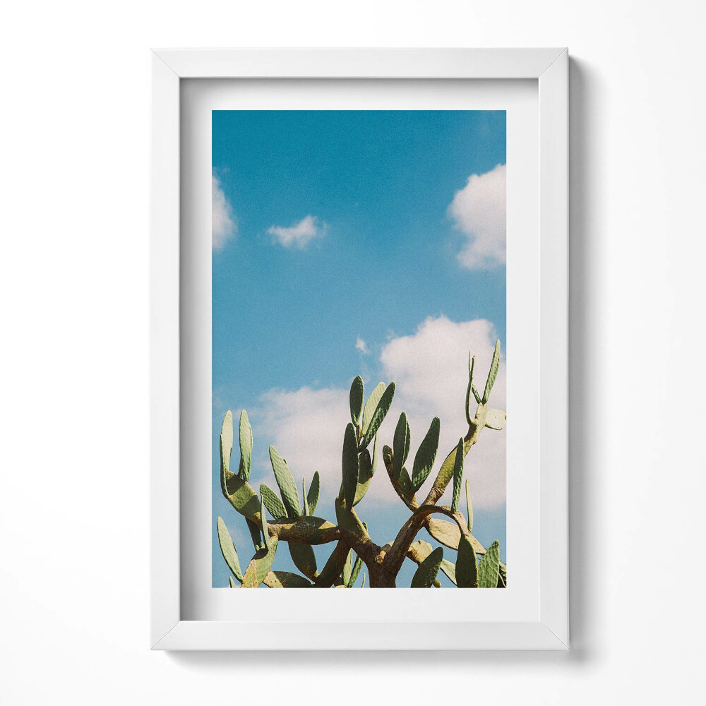 Obraz s rámem elegantní Kaktus proti obloze