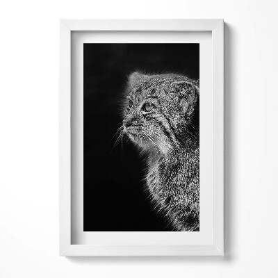 Obraz s rámem elegantní Rys divoká kočka v černé a bílé