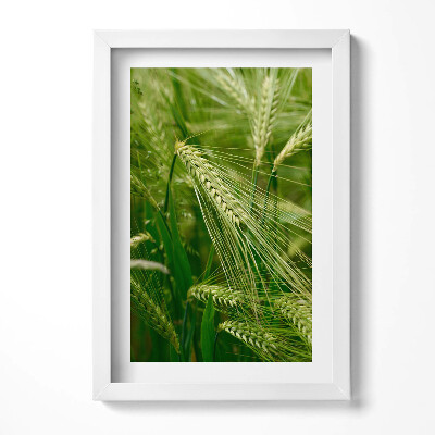 Obraz s rámem elegantní Uši trávy v létě