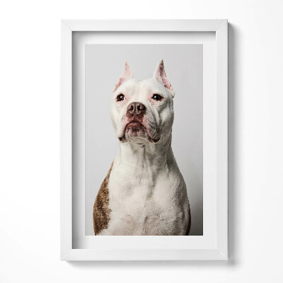 Obraz s rámem elegantní Portrét majestátního psa