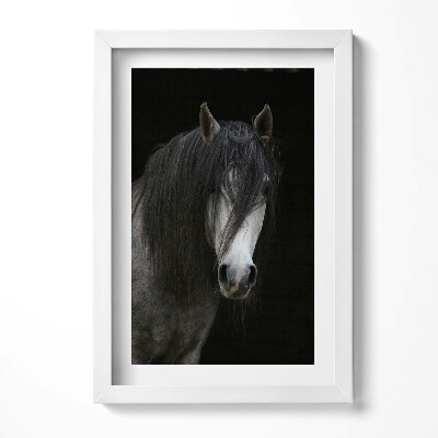 Obraz s rámem elegantní Hlava šedého oře