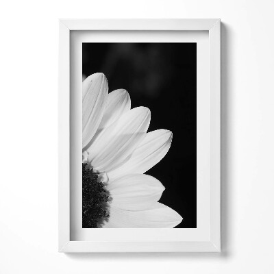 Obraz s rámem elegantní Okvětní lístky sedmikrásky v černé a bílé