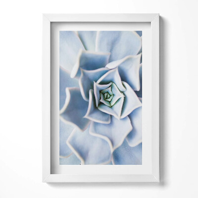 Obraz s rámem elegantní Květinová rostlina