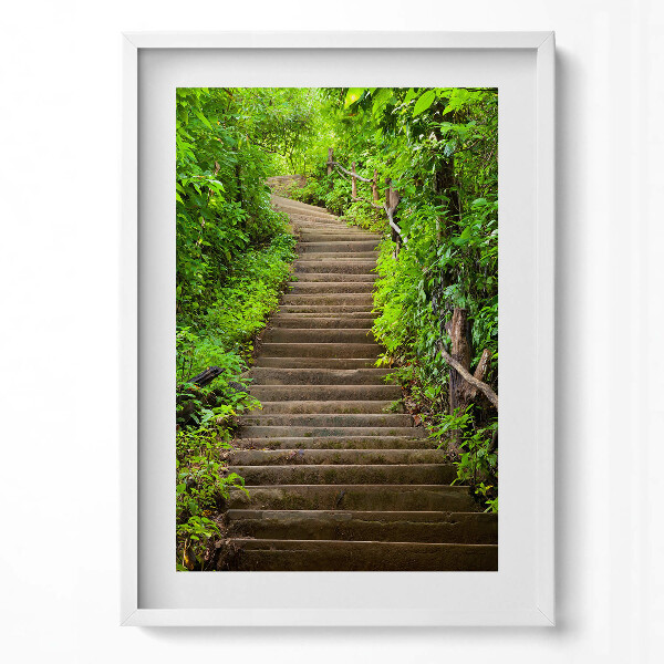 Obraz v rámu dekorativní Schody uprostřed lesa