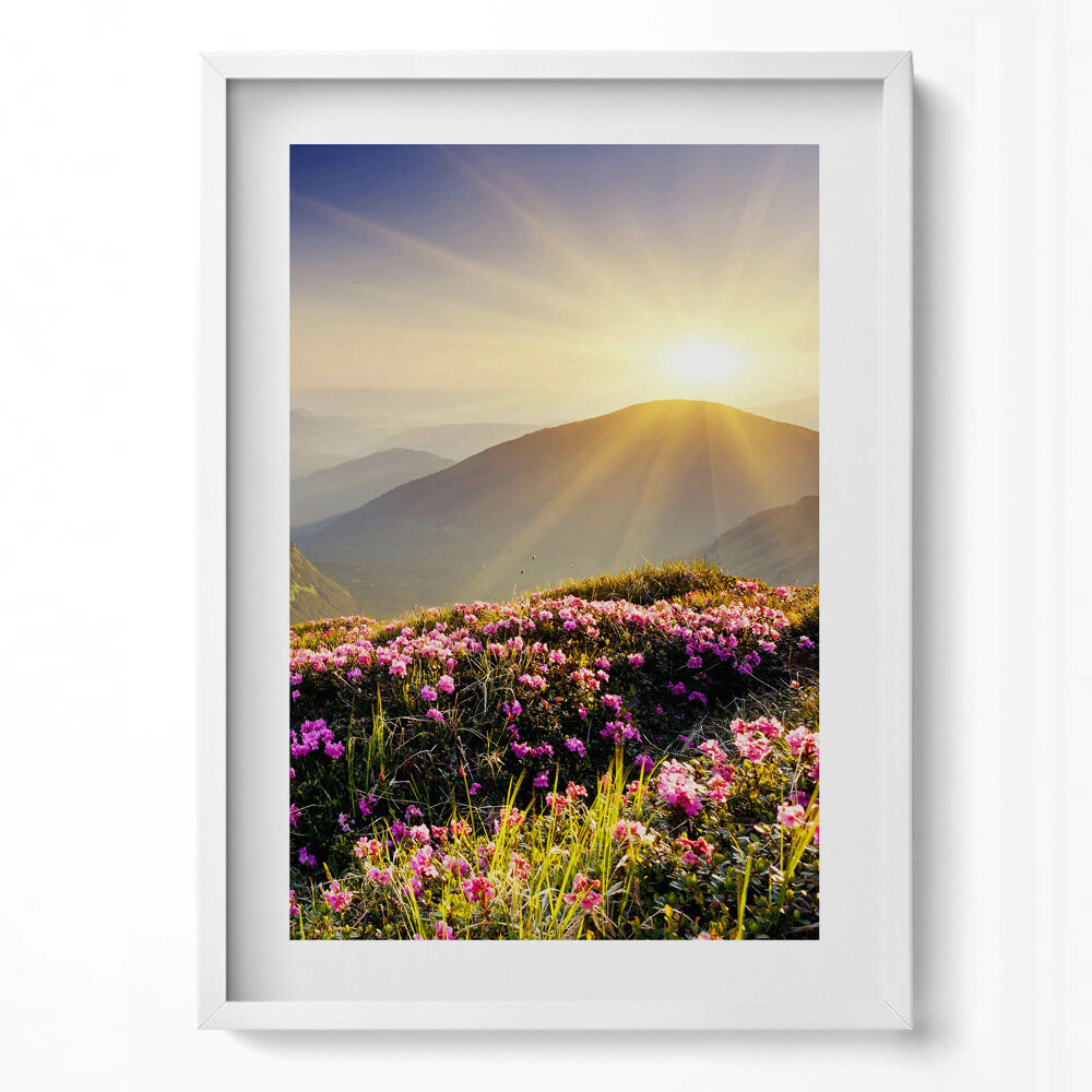 Obraz v rámu dekorativní Hory a květinová louka