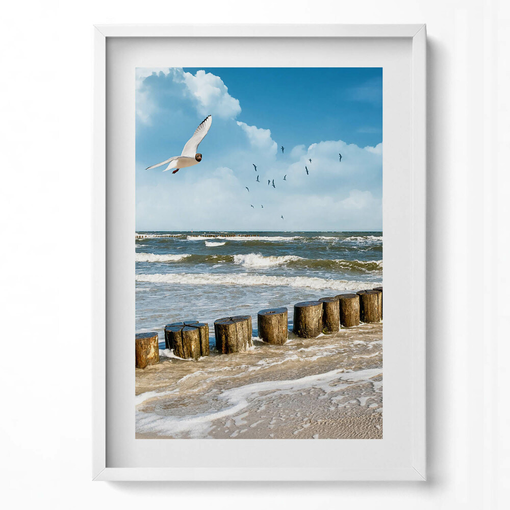 Obraz v rámu dekorativní Pták u moře