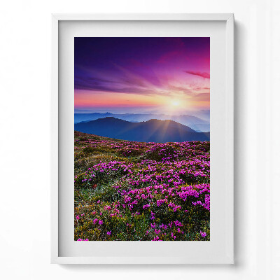 Obraz v rámu dekorativní Východ slunce květiny