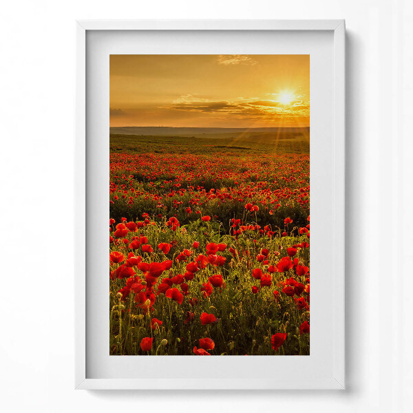 Obraz v rámu dekorativní Krajina louky květů máku