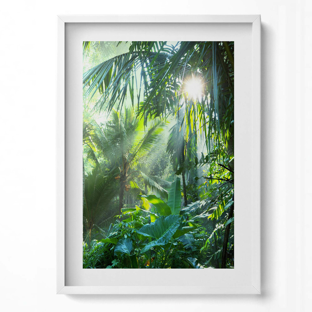 Obraz v rámu dekorativní Zelená džungle plná rostlin