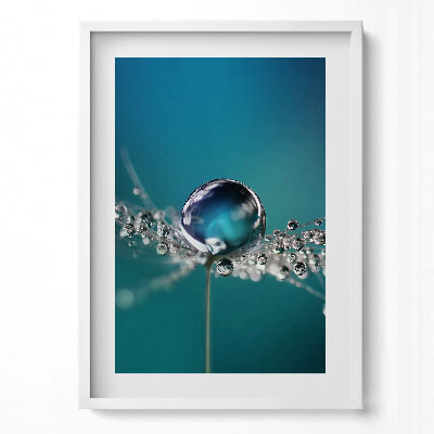 Obraz v rámu dekorativní Kapka rosy na pampelišce