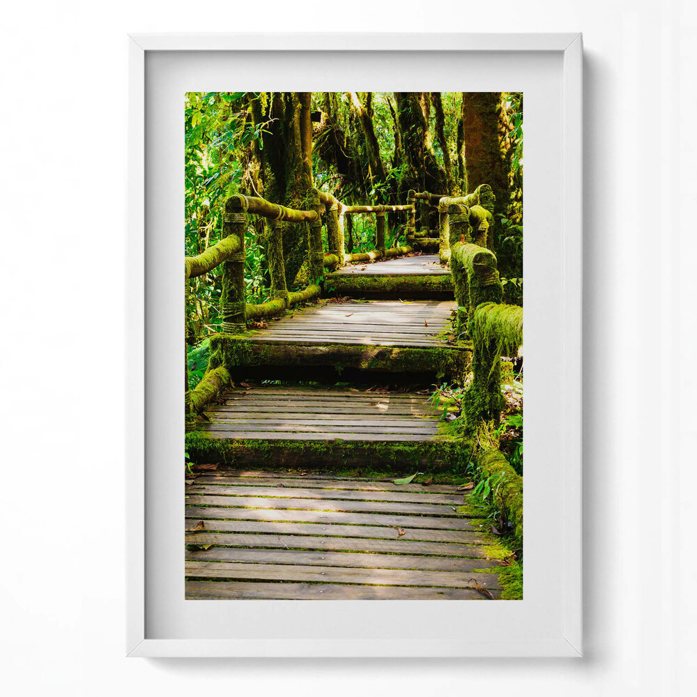 Obraz v rámu dekorativní Dřevěný chodník - agroturistika