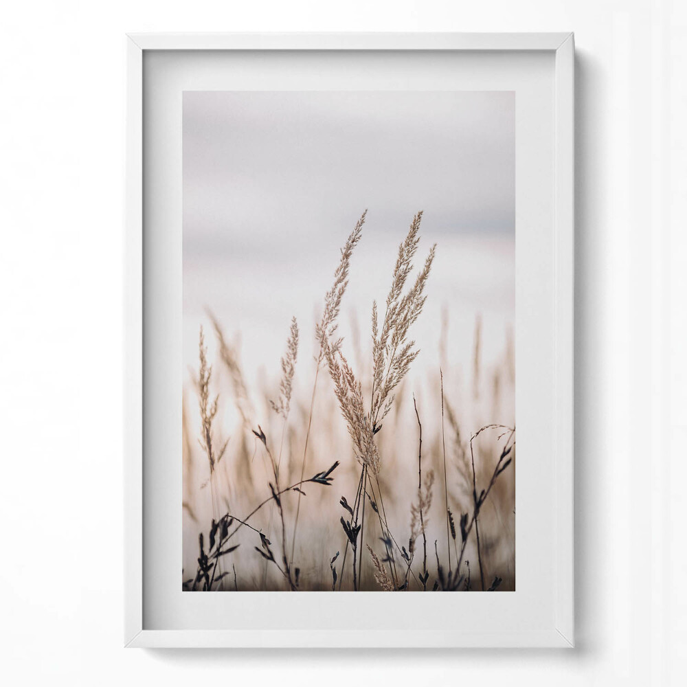 Obraz v rámu dekorativní Přírodní tráva boho styl