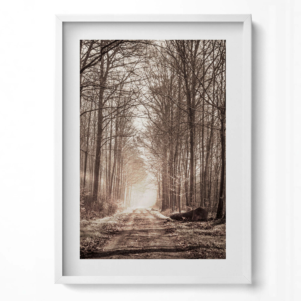 Obraz v rámu dekorativní Lesní cesta v sépiových barvách