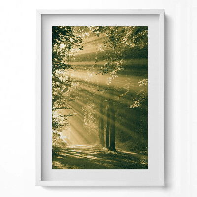 Obraz v rámu dekorativní Sluneční paprsky v lese