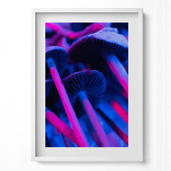 Obraz v rámu dekorativní Kouzelné barevné houby