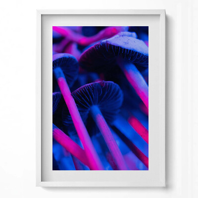 Obraz v rámu dekorativní Kouzelné barevné houby