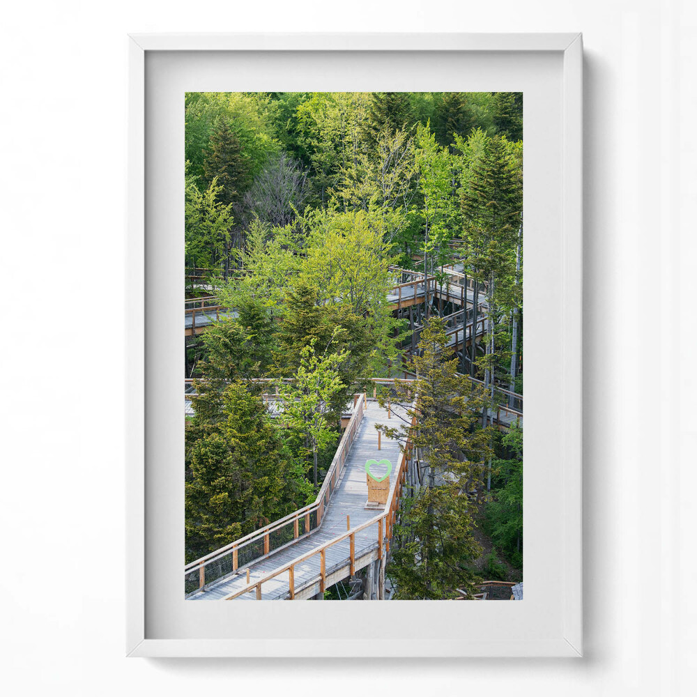 Obraz v rámu dekorativní Stezka v Krynici Zdrój