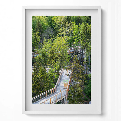 Obraz v rámu dekorativní Stezka v Krynici Zdrój