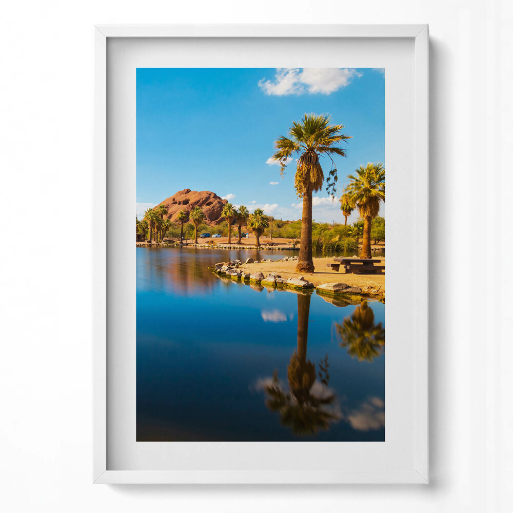 Obraz v rámu dekorativní Krajina parku Papago