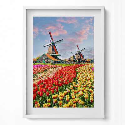 Obraz v rámu dekorativní Krajina s tulipány Nizozemsko
