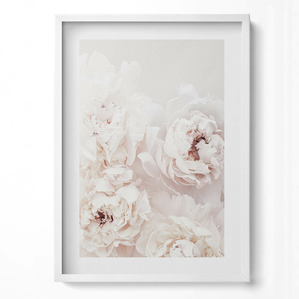 Obraz v rámu dekorativní Pivoňkové květy