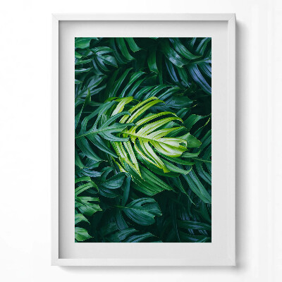 Obraz v rámu dekorativní Divoké monstera listy