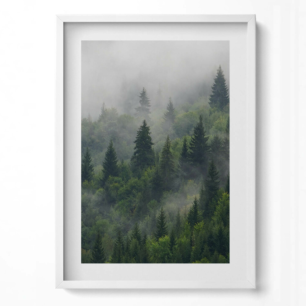 Obraz v rámu dekorativní Lesní krajina v mlze