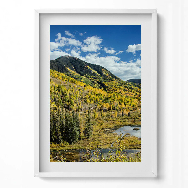 Obraz v rámu dekorativní Krajina horské vegetace