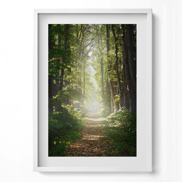 Obraz v rámu dekorativní Lesní cesta mezi stromy