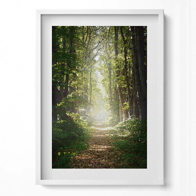 Obraz v rámu dekorativní Lesní cesta mezi stromy