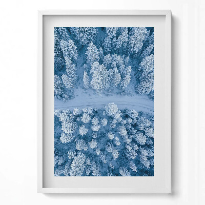 Obraz v rámu dekorativní Les z ptačí perspektivy