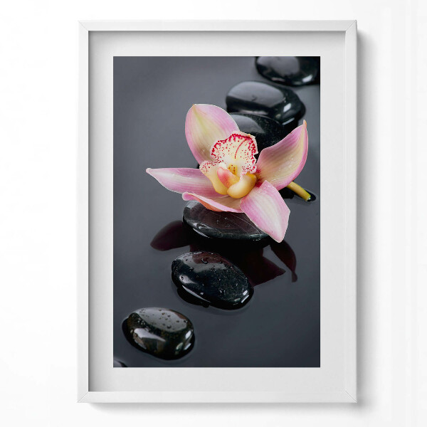 Obraz v rámu dekorativní Květina na kamenech ve vodě