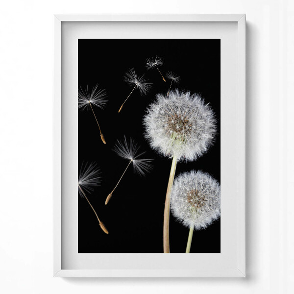 Obraz v rámu dekorativní Dvě pampelišky