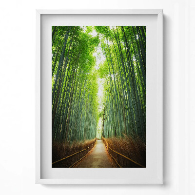 Obraz v rámu dekorativní Bambusový les Arashiyama Kjóto Japonsko