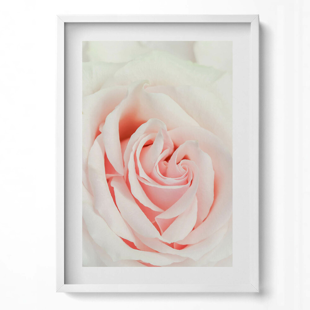 Obraz v rámu dekorativní Detail růžových lístků