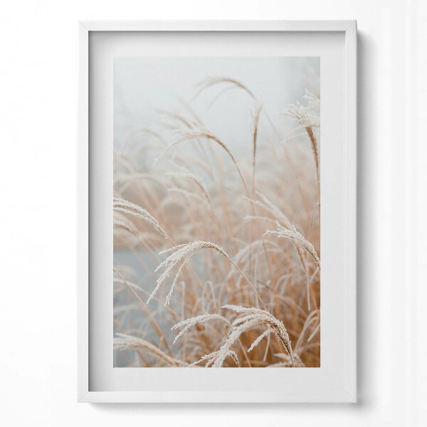 Obraz v rámu dekorativní Jemné trávy v boho stylu