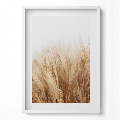 Obraz v rámu dekorativní Krajina jemných boho trav