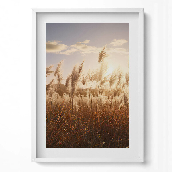 Obraz v rámu dekorativní Romantický západ slunce nad trávou