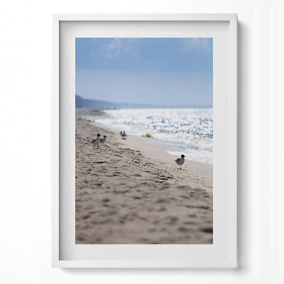 Obraz v rámu dekorativní Mořské vlny a pták na pláži