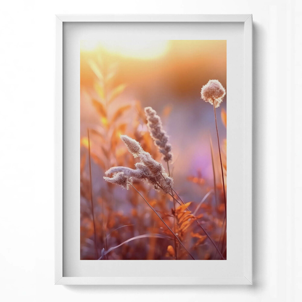Obraz v rámu dekorativní Boho tráva při východu slunce