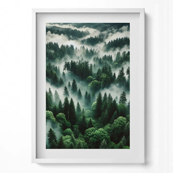 Obraz v rámu dekorativní Krajina ranní mlhy v lese