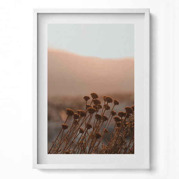 Obraz v rámu dekorativní Boho romantická tráva krajina