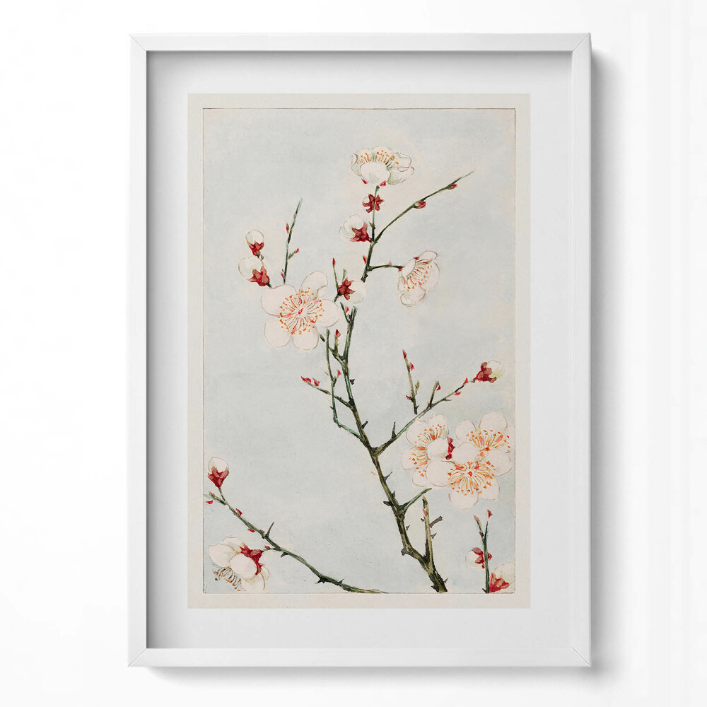 Obraz v rámu dekorativní Minimalistické ilustrace větví s květinami