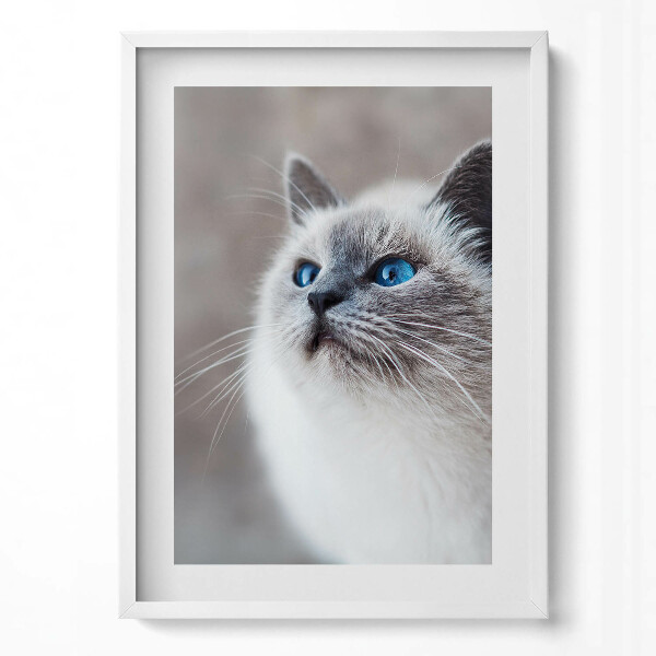 Obraz v rámu dekorativní Klidná krajina zimního jezera