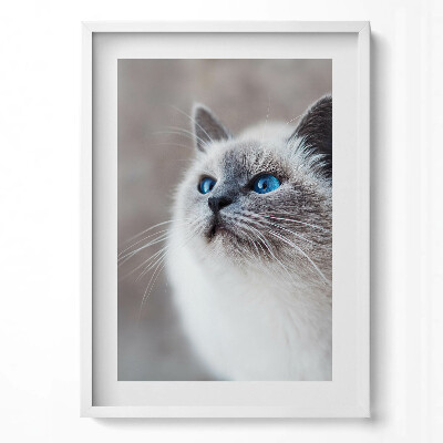 Obraz v rámu dekorativní Klidná krajina zimního jezera