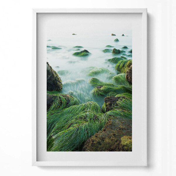 Obraz v rámu dekorativní Tráva na břehu řeky