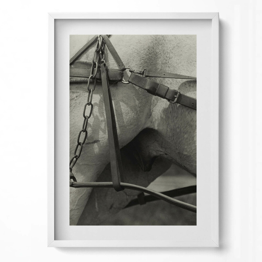 Obraz v rámu dekorativní Detailní záběr na koňský postroj