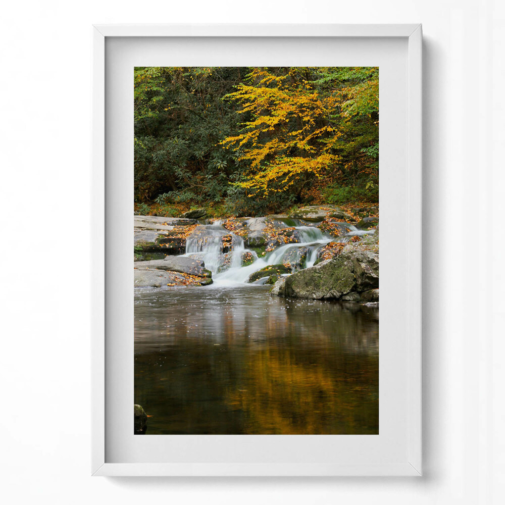 Obraz v rámu dekorativní Zelená krajina lesního potoka